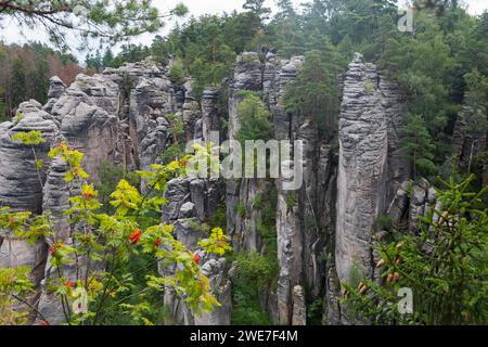 Sandstone rocks rise up in the middle of a dense forest against a cloudy sky, Prachovske skaly, Prachov Rocks, Bohemian Paradise, Cesky raj Stock Photo