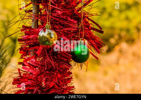 Green and gold Christmas ornaments and red tensile garland hanging on pine tree in local park in South Korea Stock Photo