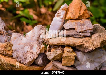 Green fly resting on white rock that is part of man made rock tower in forest park Stock Photo