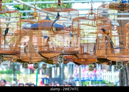 Warbler's cages at the singing contest attract many birds from all over the world to gather in the park during the Lunar New Year. Stock Photo