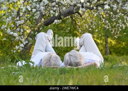 Happy senior couple possing on grass in the park Stock Photo