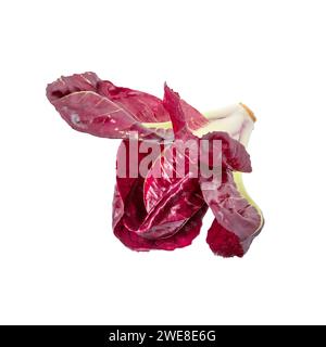 Variegated radicchio from Verona, isolated on white background Stock Photo