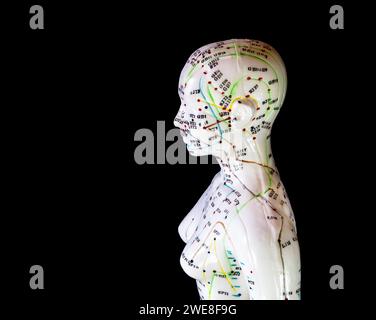 Mannequin with acupuncture points and meridians Stock Photo - Alamy