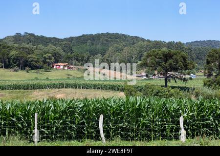 A rural area landscape in southern Brazil. Stock Photo