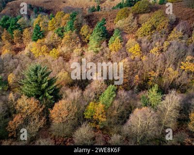 Aerial view of Dalby Forest with Autumn colour. North Yorkshire, UK Stock Photo