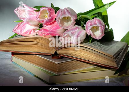 Bouquet of pink tulips and a stack of three books on a white sheet. Stock Photo