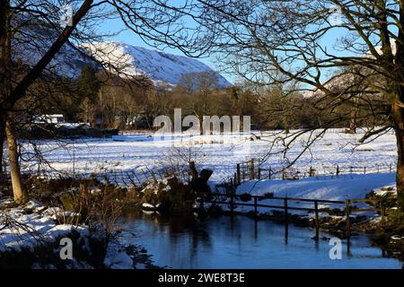 Grasmere Winter. Sheep in snow covered field near village. Blue sky. Stock Photo
