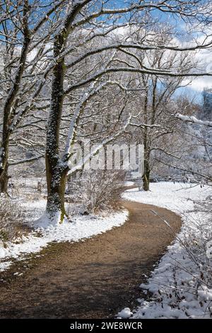 Empty, curved footpath in snow covered forest scene, no people. Stock Photo