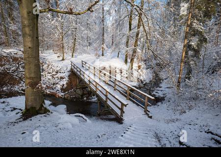 Snow covered forest scene with wooden footbridge over small stream. Top vide angle view, no people. Stock Photo