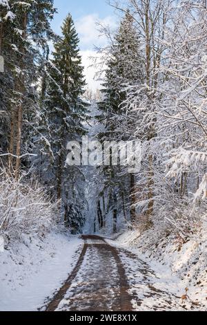 Empty, curved footpath in snow covered forest scene, no people Stock Photo