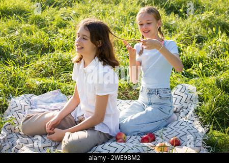 Two teenage girls spend time on green grass lawn in park, braid pigtails and tails for each other, enjoy summer and vacations Stock Photo