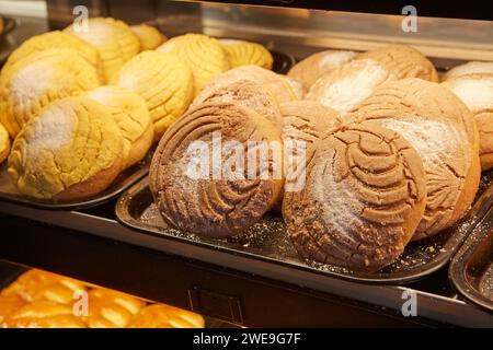 Assorted Fresh Conchas Mexican Sweet Bread at Bakery Stock Photo