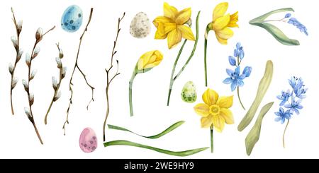 Watercolor spring easter big floral set with yellow daffodils, willow branches, colorful easter eggs, spring blue lilac flowers and green leaves. Flow Stock Photo