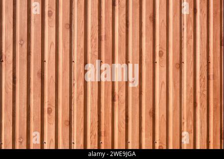 metal profiled sheeting. a wall with a relief texture of the background in the sun outside Stock Photo