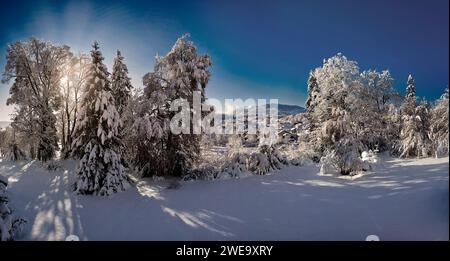 DE - BAVARIA: Winter scene above the river Isar with view toward Blomberg mountain at Bad Toelz Stock Photo