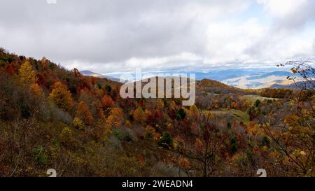Scenic shot of trail to Max Patch Stock Photo