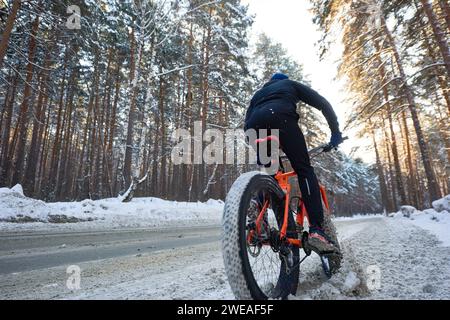 Back view of cyclist riding bike on road in winter forest, copy space Stock Photo