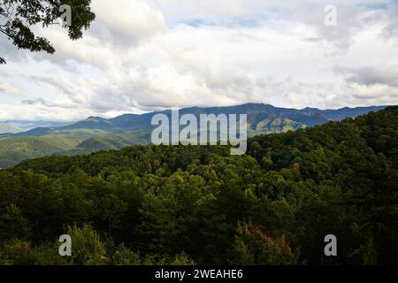 Serene Smoky Mountains Vista with Autumn Foliage from Hillside Perspective Stock Photo