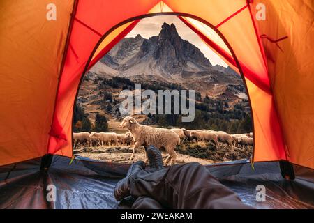 View from inside a tent of tourist relaxing and enjoying the Main De Crepin peak with herd of sheep walking through in Claree Valley on autumn at Fren Stock Photo
