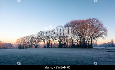 A early morning scene of the Chislehurst golf course in Kent, UK. Stock Photo