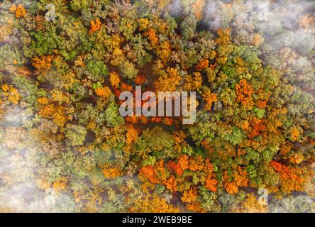 Beautiful autumn forest with multicolored trees and clouds from a bird's eye view. Stock Photo
