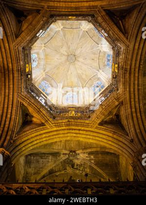 Barcelona Cathedral cupola Stock Photo