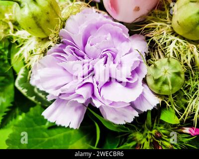 bouquet with carnations Stock Photo