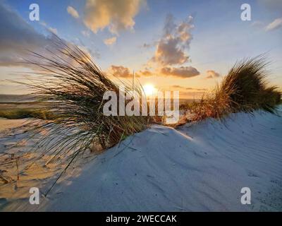 Dunes on the North Sea in evening light, Germany, Lower Saxony, Norderney, East Frisia Stock Photo