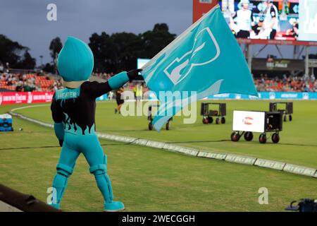 Gold Coast, Australia. 22nd Jan 2024. Brisbane Heat mascot entertains the crowd during the Big Bash match between Brisbane Heat and Adelaide Strikers Stock Photo