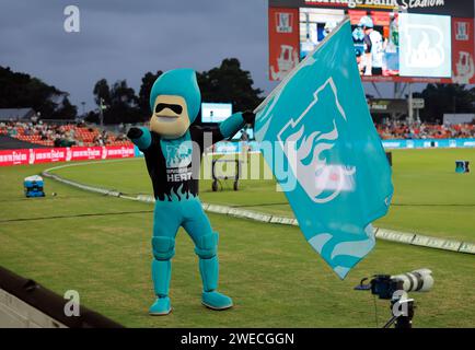 Gold Coast, Australia. 22nd Jan 2024. Brisbane Heat mascot entertains the crowd during the Big Bash match between Brisbane Heat and Adelaide Strikers Stock Photo