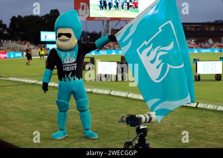 Gold Coast, Australia. 22nd Jan 2024. Brisbane Heat mascot entertains the crowd during the Big Bash match between Brisbane Heat and Adelaide Strikers Stock Photo