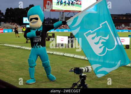 Gold Coast, Australia. 22nd Jan 2024. Brisbane Heat mascot entertains the crowd during the Big Bash match between Brisbane Heat and Adelaide Strikers Stock Photo