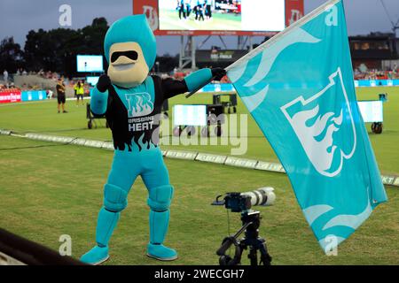 Gold Coast, Australia. 22nd Jan 2024. Brisbane Heat mascot entertains the crowd during the Big Bash match between Brisbane Heat and Adelaide Strikers Stock Photo