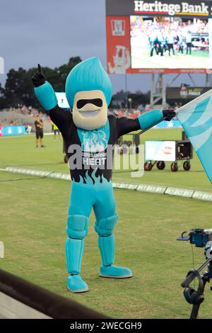 Gold Coast, Australia. 22nd Jan 2024. Brisbane Heat mascot entertains the crowd during the Big Bash match between Brisbane Heat and Adelaide Strikers Stock Photo