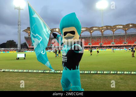 Gold Coast, Australia. 22nd Jan 2024. Brisbane Heat mascot entertains the crowd during the Big Bash match between Brisbane Heat and Adelaide Strikers Stock Photo