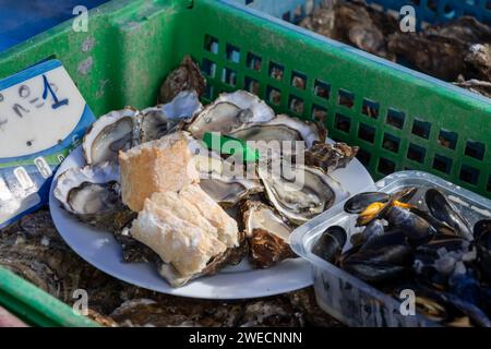 Fresh catch of french Gillardeau oysters molluscs in wooden box ready to eat close up Stock Photo