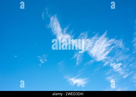 Delicate, white feather clouds, cirrus clouds, decorate the clear blue sky, spring, summer, Lower Saxony, Germany Stock Photo
