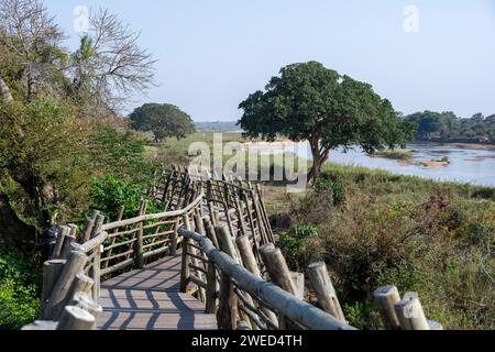 A wooden jetty overlooking a tree near the tranquil Sabie River, Lower Sabie Rest Camp, Kruger National Park, South Africa Stock Photo