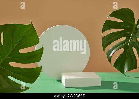 Minimal scene of fresh green monstera leaves decorated with podiums in round and square-shaped. Stage showcase on minimal podium display Stock Photo