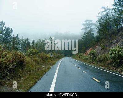 Misty Journey through Enchanting Autumn Forest: A Serene Drive on Winding Rainy Road amidst Foggy Mountain Scenery Stock Photo