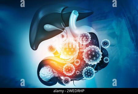 Virus attacks human digestive system. 3d illustration Stock Photo