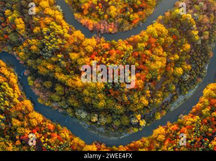 Winding river in a meadow with a beautiful colorful autumn forest at morning sunrise. Aerial top view. Nature landscape at fall. Stock Photo