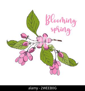 Cherry blossom branch with hand drawn sakura flower. Sakura on a white background. Vector illustration Stock Vector