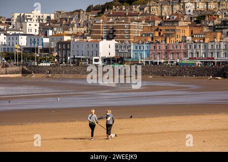 UK, England, Somerset, Weston-super-Mare, visitors walking dog on beach at low tide Stock Photo