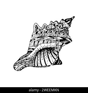 Hand drawn seashell doodle line art. Stock Photo