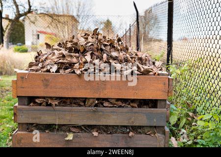 A composter made of wooden boards filled with dry leaves. Stock Photo