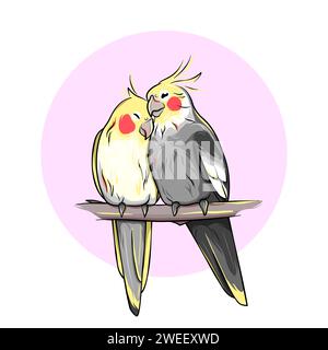 Corella parrots, a pair of two cute lovely birds on a branch Stock Vector