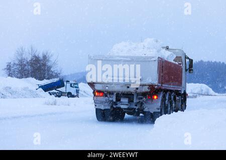 Tipper truck transporting a load of cleared snow away from town to snow dump in winter snowfall, rear view. In distance, another truck unloading. Stock Photo