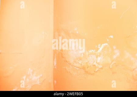 White mold buildup in the corner of an old house Stock Photo