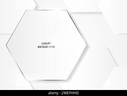 Abstract clean white hexagonal shapes with silver frame, EPS 10 vector background Stock Vector
